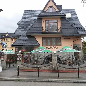 Brzoza W Centrum Zakopanego , Zakopane Polonia